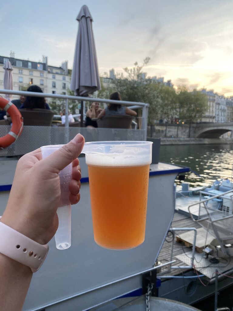 Digital Nomad's Guide to Paris - Party on the Seine