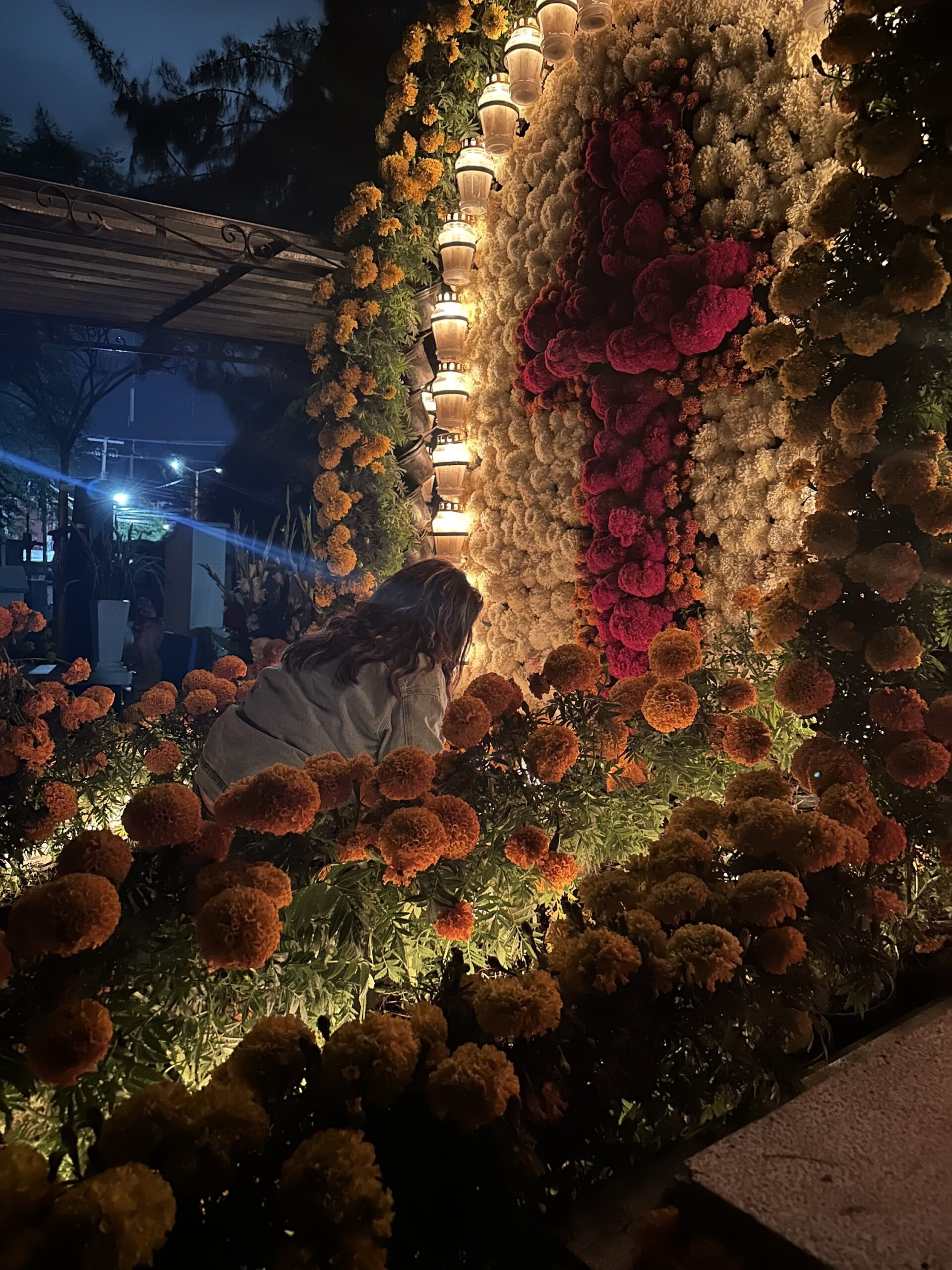 Visiting Oaxaca for day of the dead - cemetery